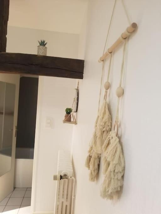 Studio Proche Centre Ville 르망 외부 사진